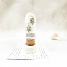 Load image into Gallery viewer, Seaweed Stud Earrings in a Glass Dome
