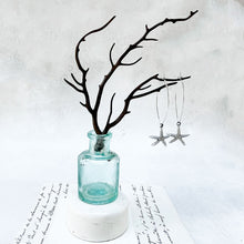 Load image into Gallery viewer, Starfish Oval Hoops in a Keepsake Bottle
