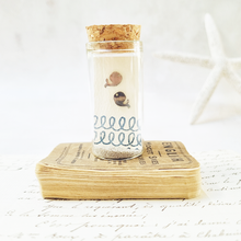 Load image into Gallery viewer, Cute Whale Stud earrings in a bottle
