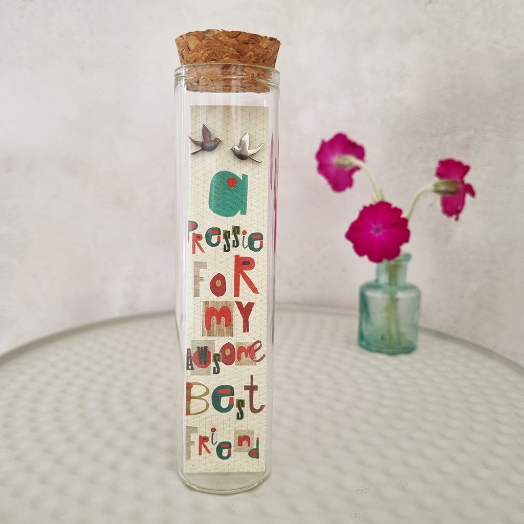 A Pressie for My Bestie Stainless Steel Stud Earrings in a Bottle - 588 - Zamsoe