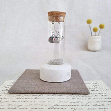 Load image into Gallery viewer, Artist Paint Palette Sterling Silver Earrings in a Bottle Zamsoe
