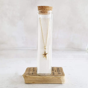 Gold star and dainty stone necklace in a bottle